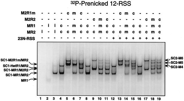 FIG. 3.