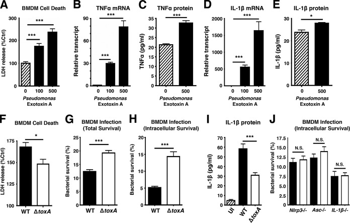 FIG 6 