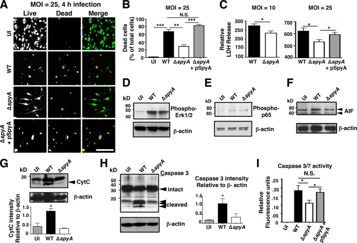 FIG 2 