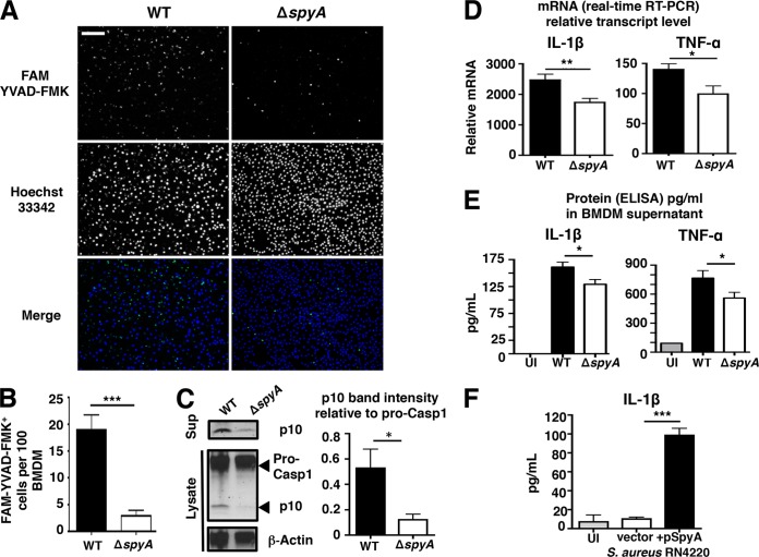 FIG 3 