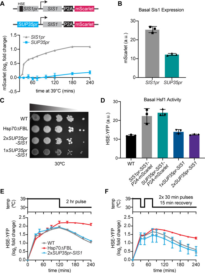 Figure 3—figure supplement 1.