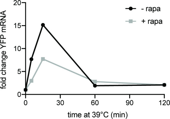 Figure 1—figure supplement 1.