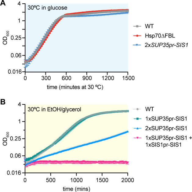 Figure 5—figure supplement 1.