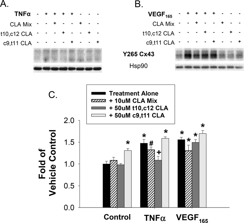 Figure 6: