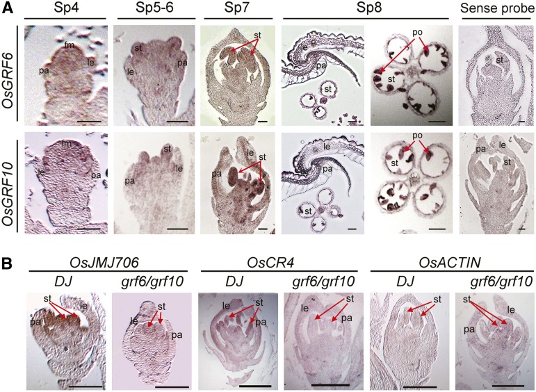 Figure 11.