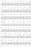 Figure 4—figure supplement 1.