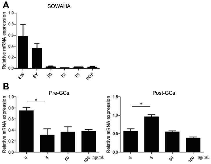 Figure 5