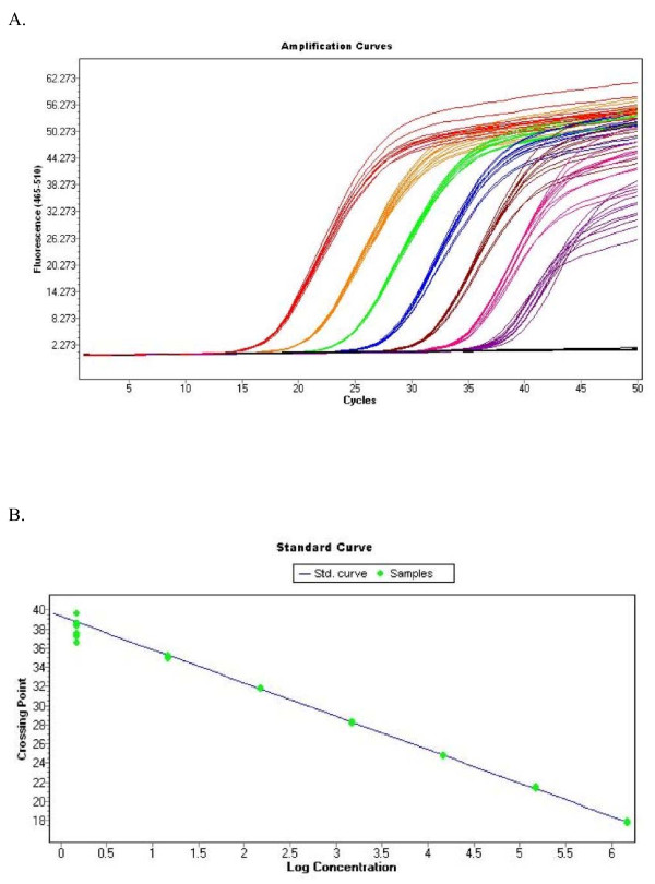 Development of a real-time quantitative PCR assay for detection of a ...