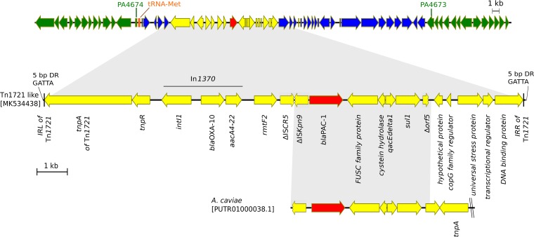 FIG 1