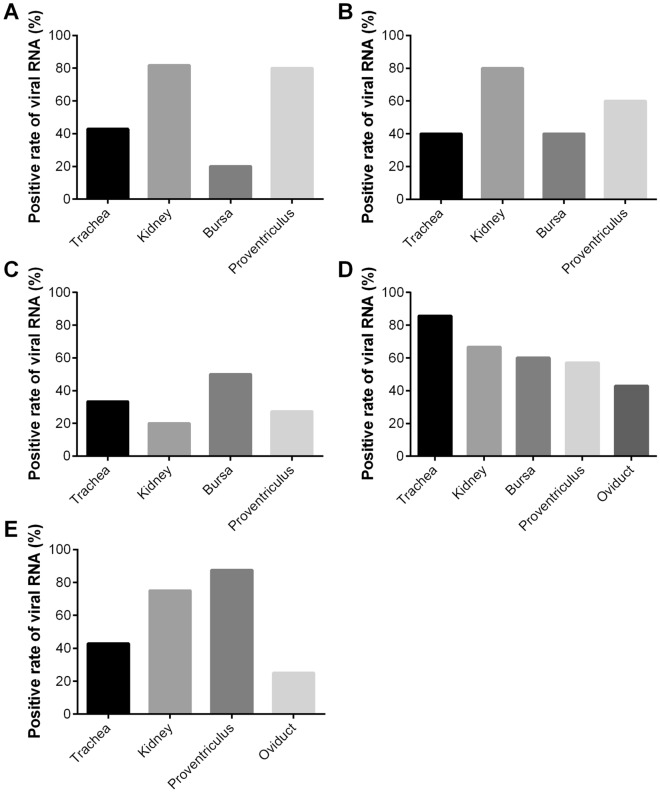 Figure  4