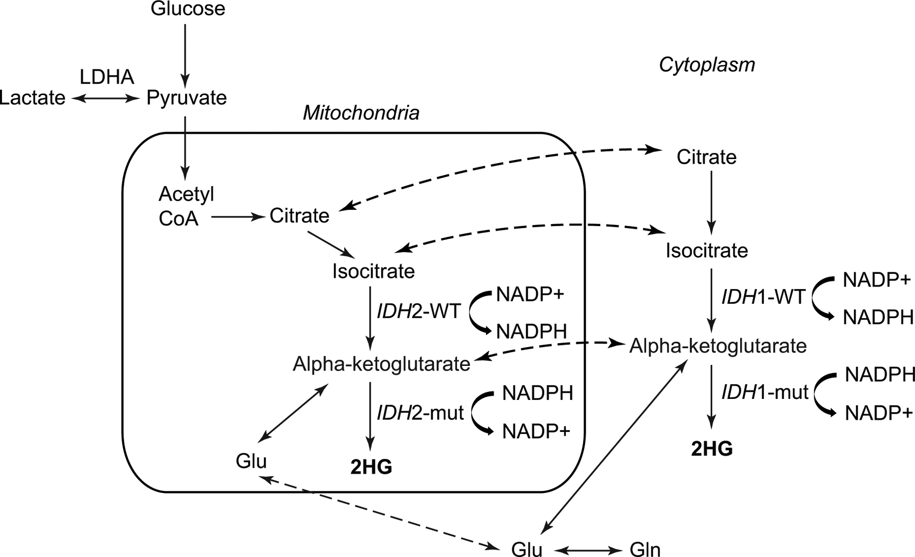 Figure 1: