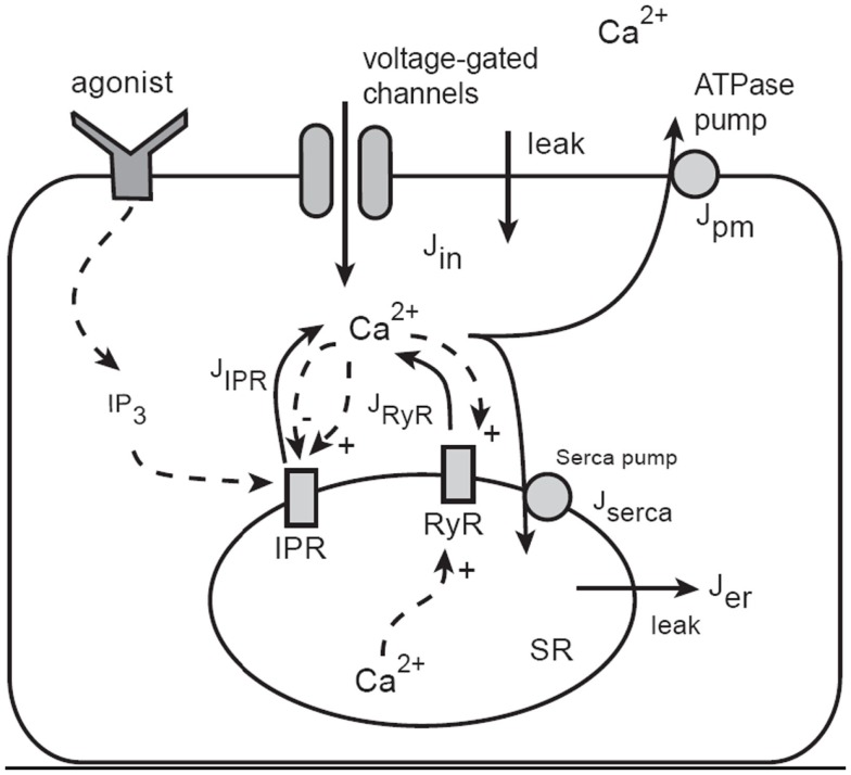 Figure 7