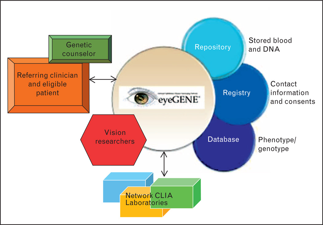 FIGURE 1