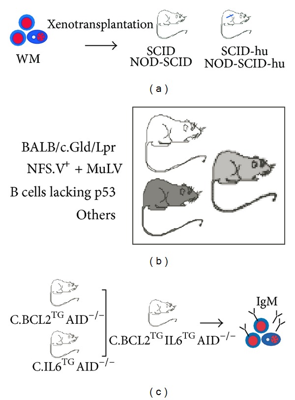 Figure 6