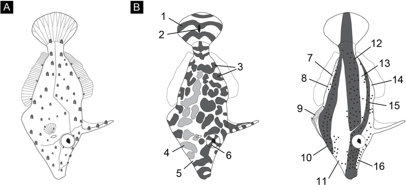 Figure 1: