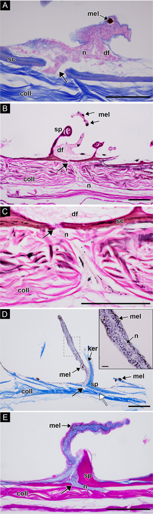 Figure 8: