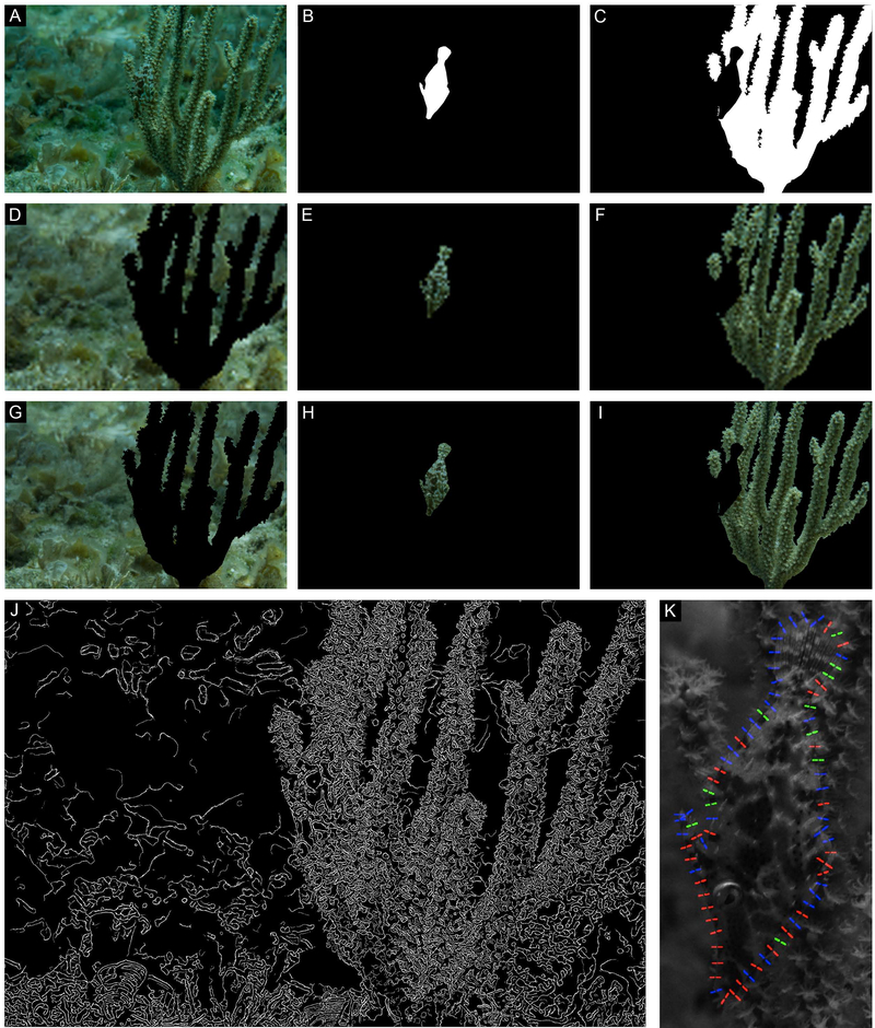 Figure 4: