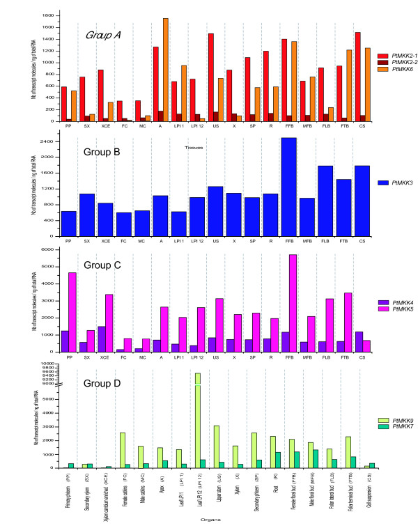 Figure 10