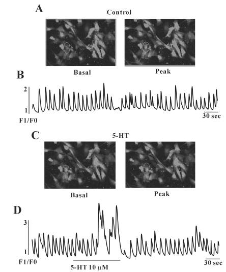 Fig. 5