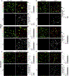 Figure 5: