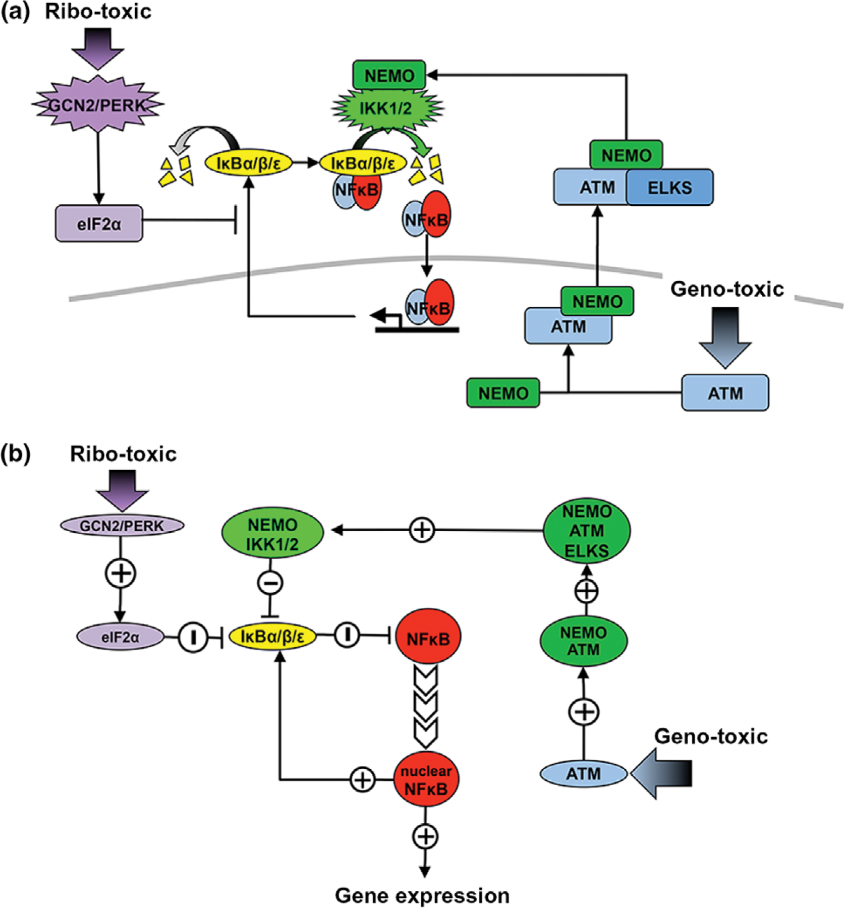 FIGURE 3 |