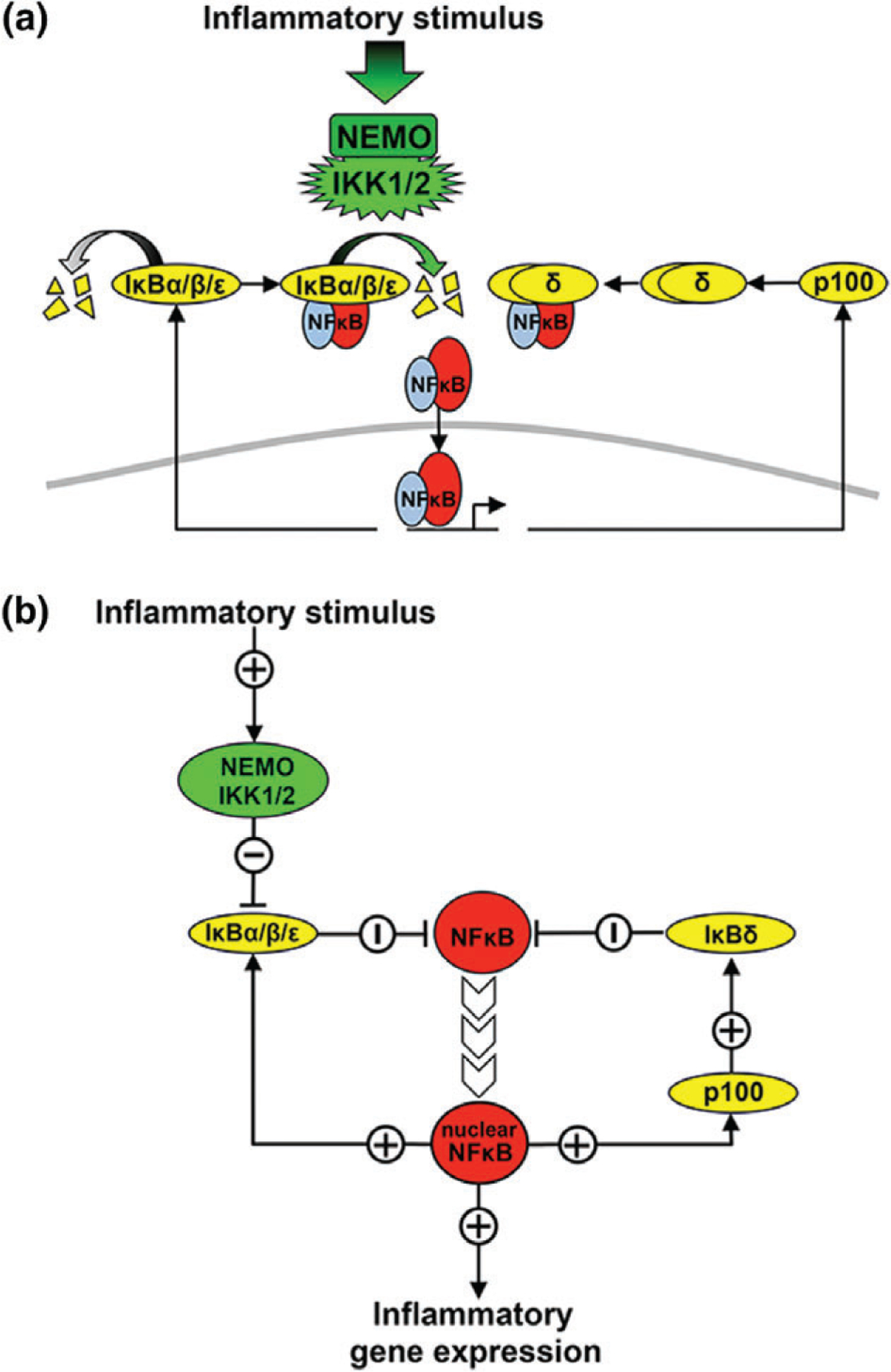 FIGURE 1 |