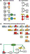 FIGURE 4 |