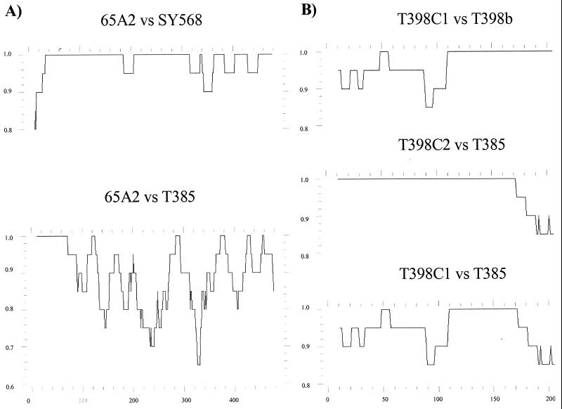 FIG. 3