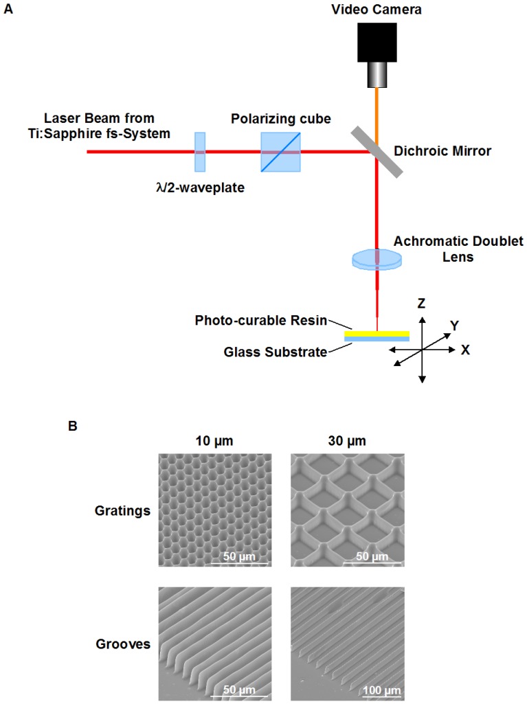 Fig 1