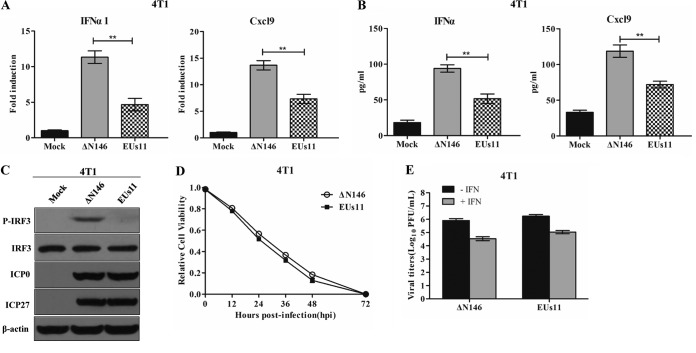 FIG 11