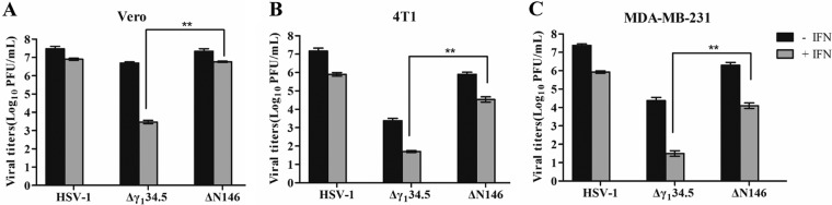 FIG 6