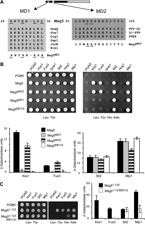 FIGURE 3.