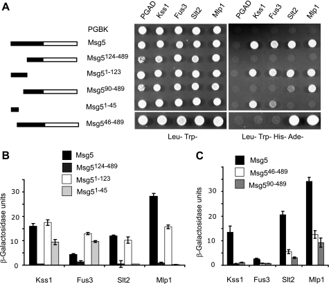 FIGURE 2.