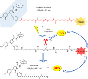 Figure 13