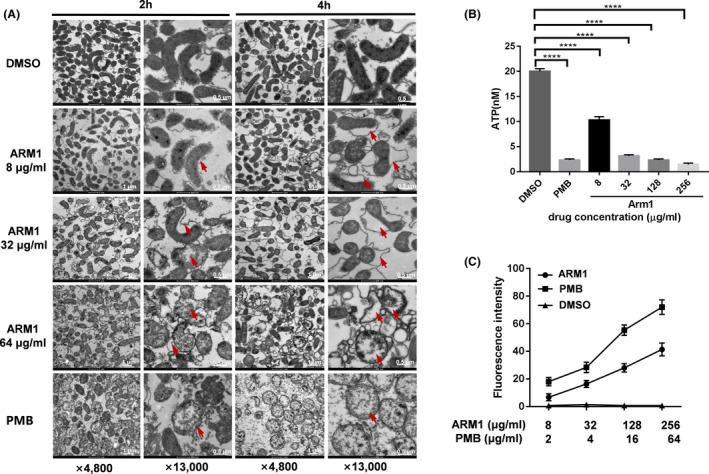 Fig. 2