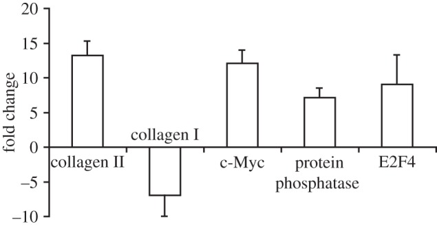 Figure 4.