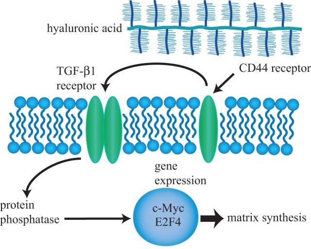 Figure 5.