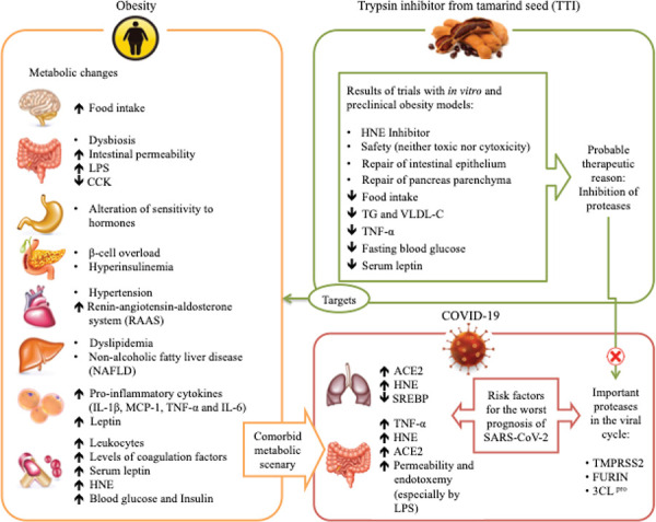 Fig. 1-