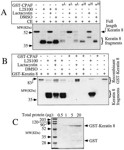 FIG. 5.