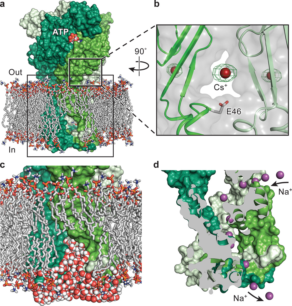 Figure 5