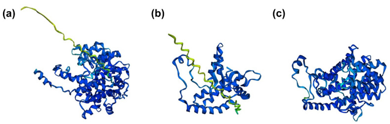 Figure 2