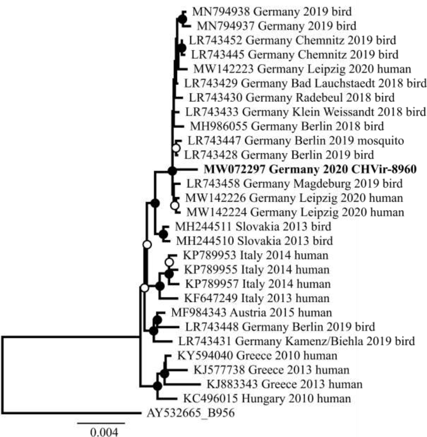 Fig. 2: