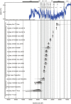 Figure 19
