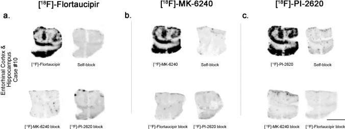 Fig. 5