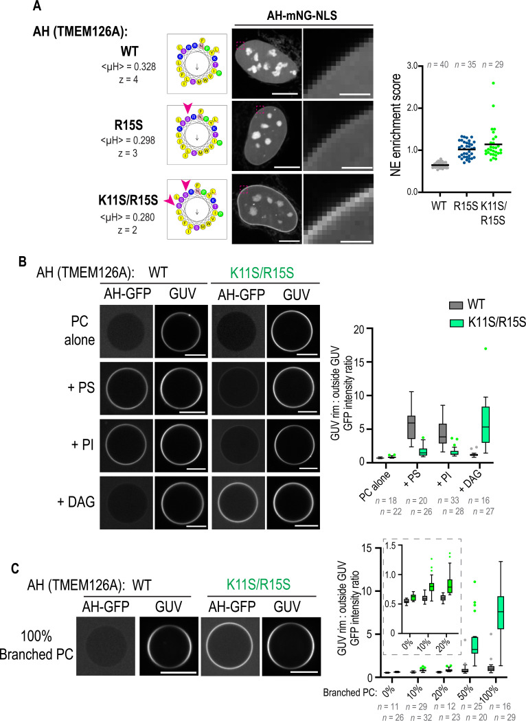 Fig. 4.