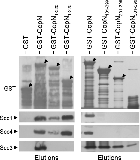 Fig. 3.