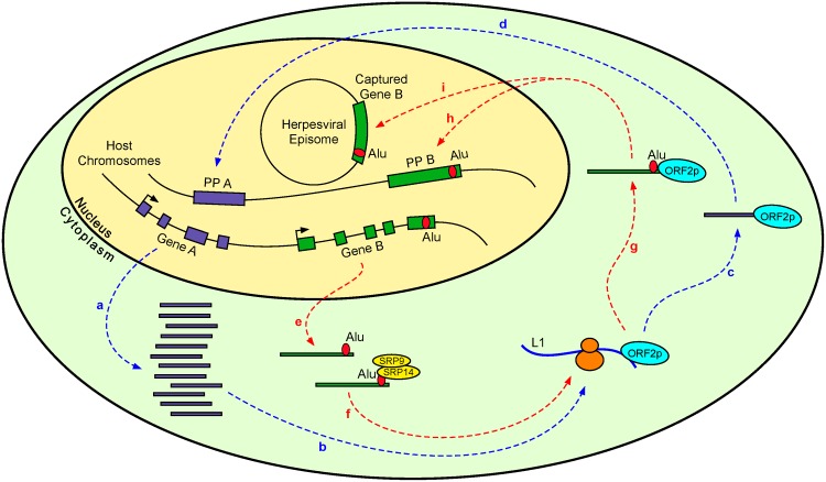 Fig 8