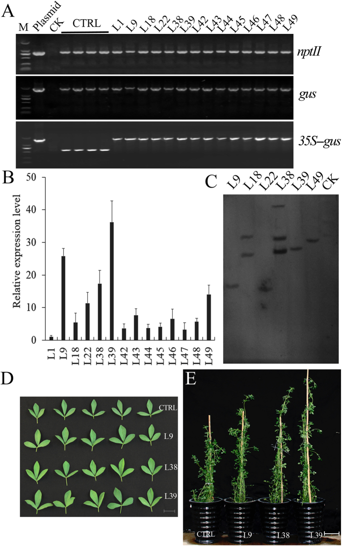 Figure 7