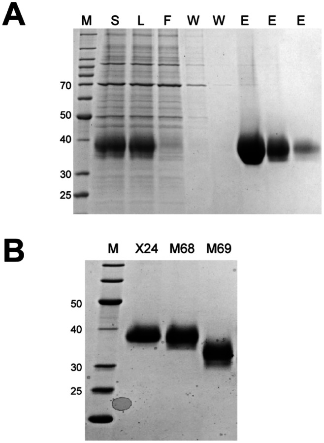 Figure 3.