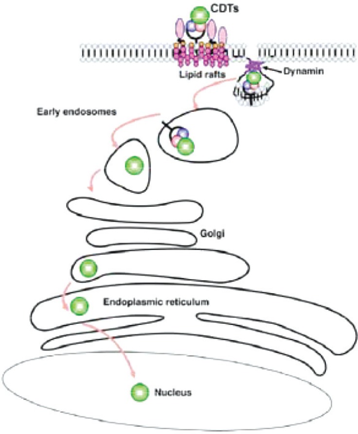 Fig. 3